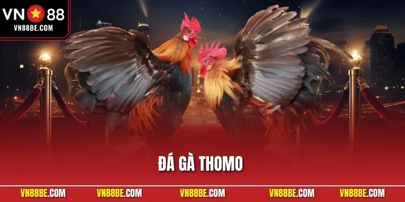 Đá gà Thomo