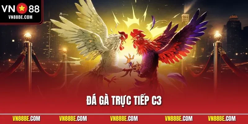 Đá gà trực tiếp C3