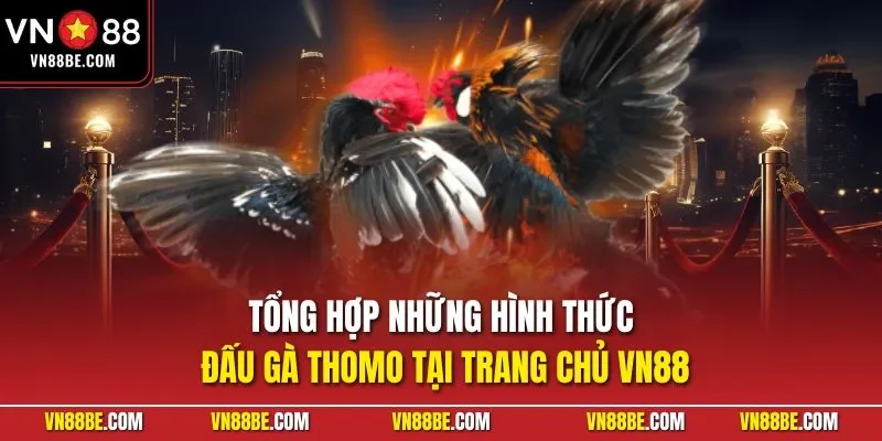 Tổng hợp những hình thức đấu gà Thomo tại trang chủ VN88